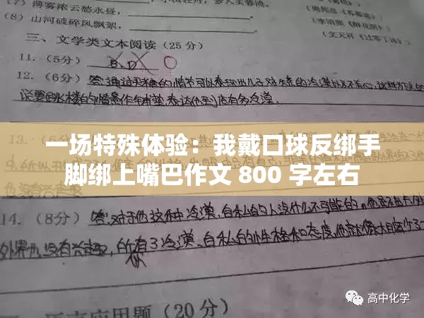 一場(chǎng)特殊體驗(yàn)：我戴口球反綁手腳綁上嘴巴作文 800 字左右