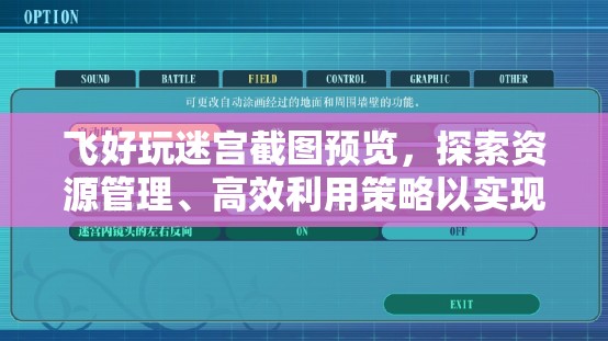 飛好玩迷宮截圖預(yù)覽，探索資源管理、高效利用策略以實(shí)現(xiàn)價(jià)值最大化