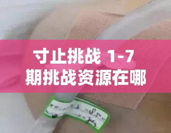 寸止挑戰(zhàn) 1-7 期挑戰(zhàn)資源在哪能找到？分享幾個途徑