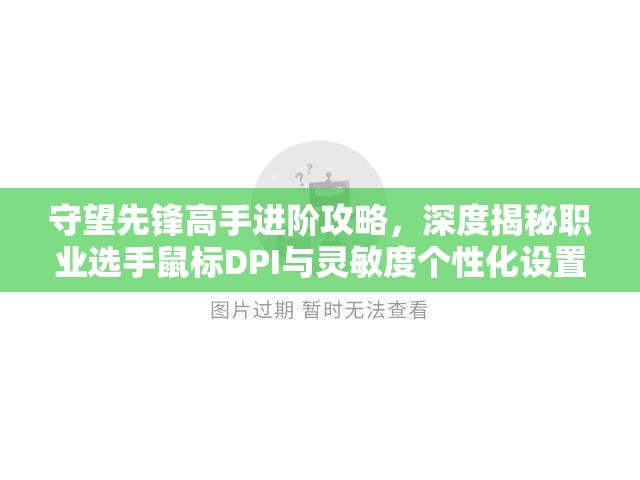 守望先鋒高手進階攻略，深度揭秘職業(yè)選手鼠標DPI與靈敏度個性化設置