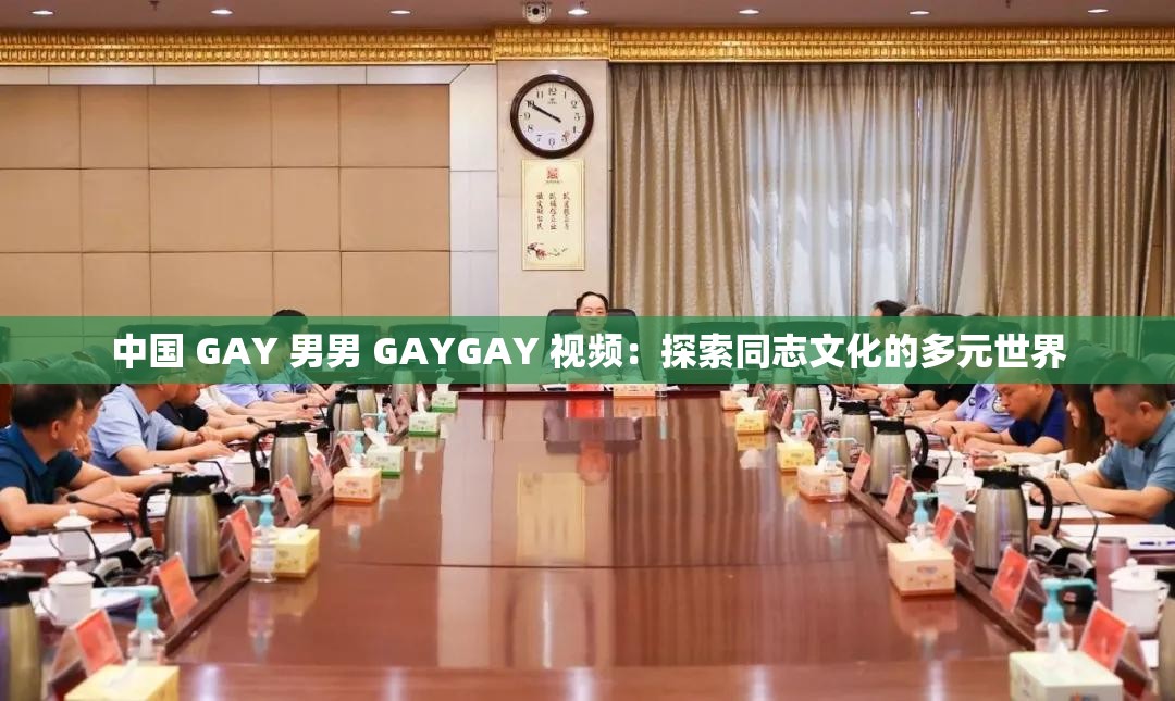 中國 GAY 男男 GAYGAY 視頻：探索同志文化的多元世界