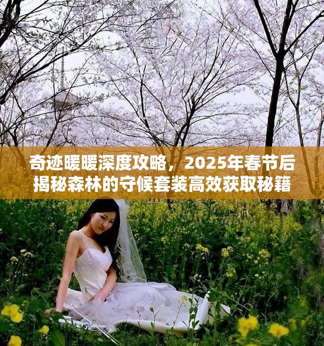 奇跡暖暖深度攻略，2025年春節(jié)后揭秘森林的守候套裝高效獲取秘籍