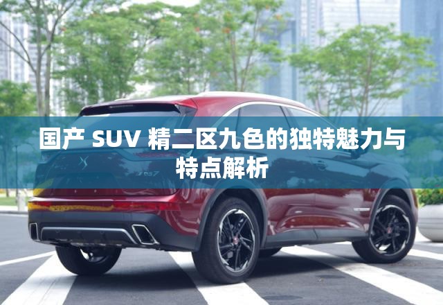 國(guó)產(chǎn) SUV 精二區(qū)九色的獨(dú)特魅力與特點(diǎn)解析