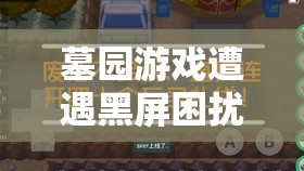 墓園游戲遭遇黑屏困擾？別擔(dān)心，這里有專業(yè)妙招助你快速解決！