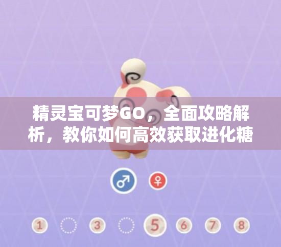 精靈寶可夢(mèng)GO，全面攻略解析，教你如何高效獲取進(jìn)化糖果