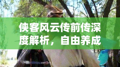 俠客風云傳前傳深度解析，自由養(yǎng)成系統(tǒng)資源管理、高效技巧與價值最大化策略