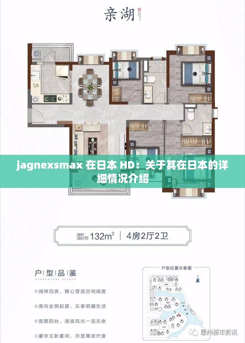 jagnexsmax 在日本 HD：關(guān)于其在日本的詳細情況介紹