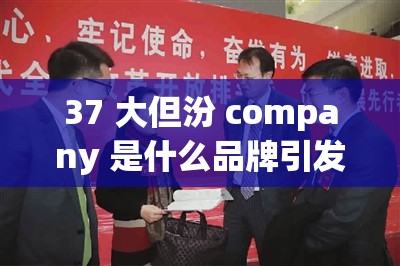 37 大但汾 company 是什么品牌引發(fā)的熱議探討