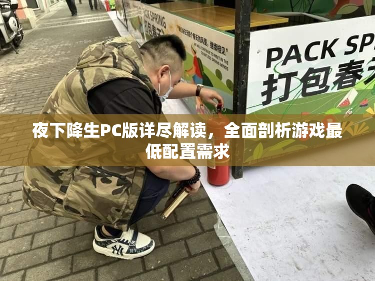 夜下降生PC版詳盡解讀，全面剖析游戲最低配置需求