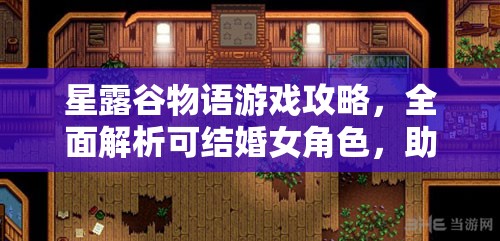 星露谷物語游戲攻略，全面解析可結婚女角色，助你找到最佳伴侶