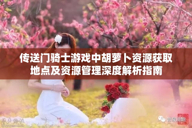 傳送門(mén)騎士游戲中胡蘿卜資源獲取地點(diǎn)及資源管理深度解析指南