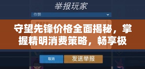 守望先鋒價格全面揭秘，掌握精明消費策略，暢享極致游戲體驗