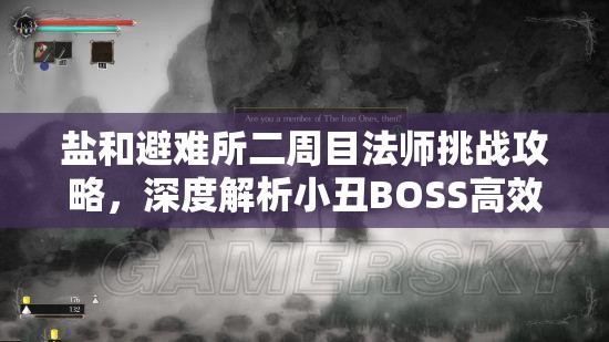 鹽和避難所二周目法師挑戰(zhàn)攻略，深度解析小丑BOSS高效打法