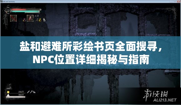 鹽和避難所彩繪書頁全面搜尋，NPC位置詳細揭秘與指南