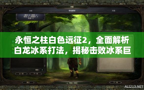 永恒之柱白色遠征2，全面解析白龍冰系打法，揭秘擊敗冰系巨龍的必勝策略