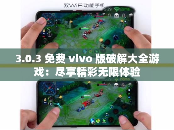 3.0.3 免費(fèi) vivo 版破解大全游戲：盡享精彩無(wú)限體驗(yàn)