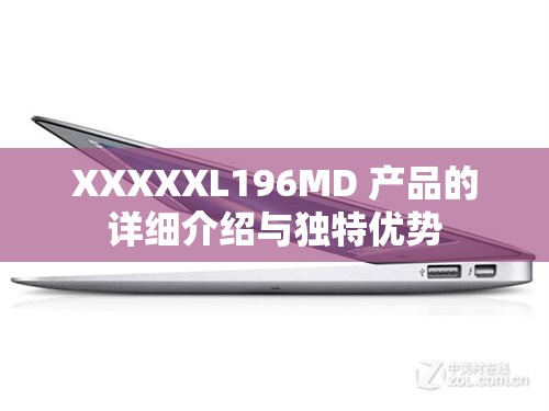 XXXXXL196MD 產(chǎn)品的詳細(xì)介紹與獨(dú)特優(yōu)勢(shì)