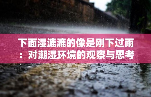 下面濕漉漉的像是剛下過(guò)雨：對(duì)潮濕環(huán)境的觀察與思考