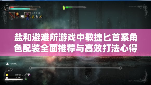 鹽和避難所游戲中敏捷匕首系角色配裝全面推薦與高效打法心得分享