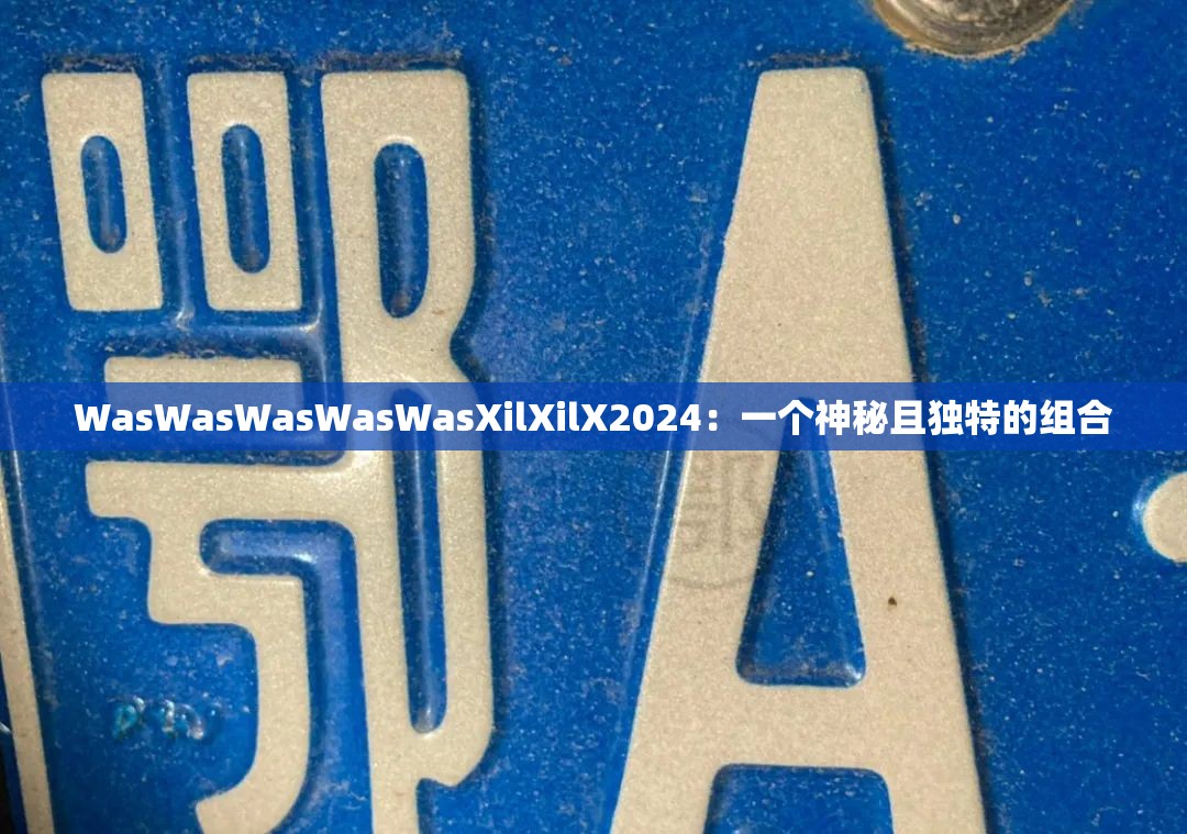 WasWasWasWasWasXilXilX2024：一個(gè)神秘且獨(dú)特的組合