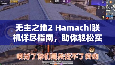 無主之地2 Hamachi聯(lián)機詳盡指南，助你輕松實現(xiàn)多人在線冒險之旅