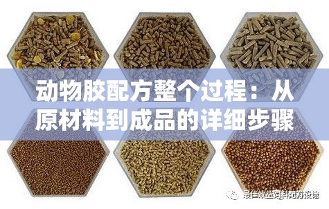 動物膠配方整個過程：從原材料到成品的詳細步驟