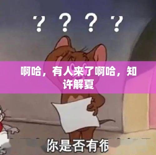 啊哈，有人來了啊哈，知許解夏