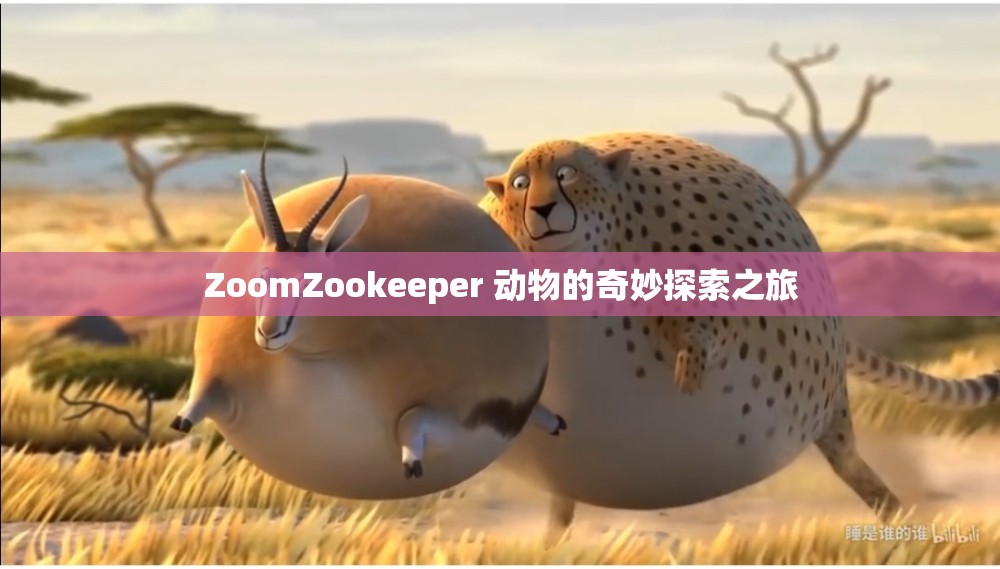 ZoomZookeeper 動(dòng)物的奇妙探索之旅