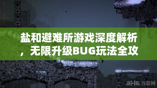 鹽和避難所游戲深度解析，無限升級(jí)BUG玩法全攻略