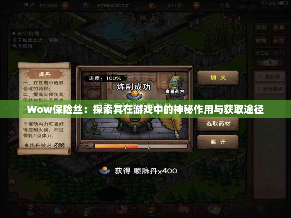 Wow保險絲：探索其在游戲中的神秘作用與獲取途徑