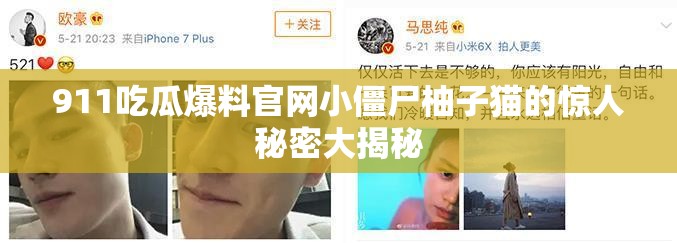 911吃瓜爆料官網小僵尸柚子貓的驚人秘密大揭秘