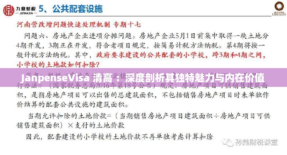 JanpenseVisa 清高 ：深度剖析其獨特魅力與內在價值