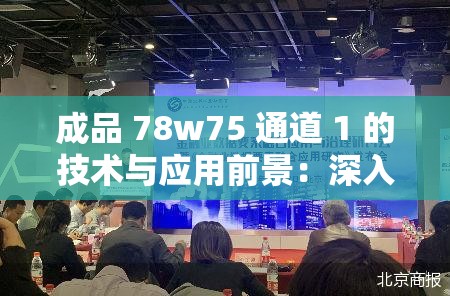 成品 78w75 通道 1 的技術與應用前景：深入探究及未來展望