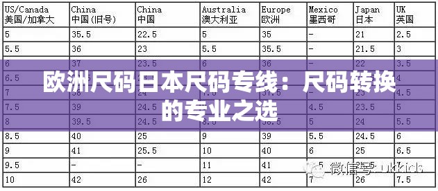 歐洲尺碼日本尺碼專線：尺碼轉換的專業(yè)之選