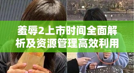 羞辱2上市時間全面解析及資源管理高效利用與價值最大化攻略