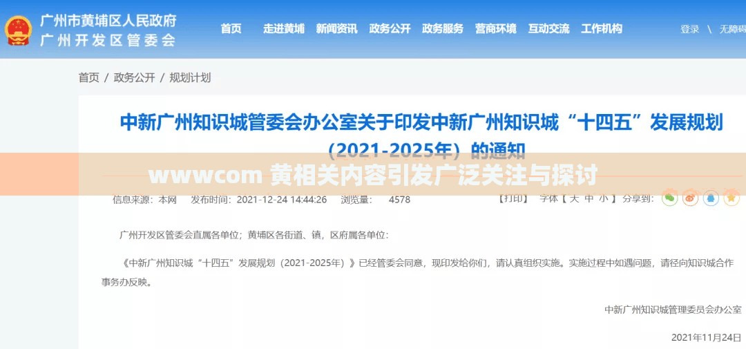 wwwcom 黃相關內容引發(fā)廣泛關注與探討