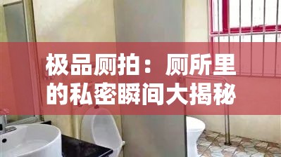 極品廁拍：廁所里的私密瞬間大揭秘