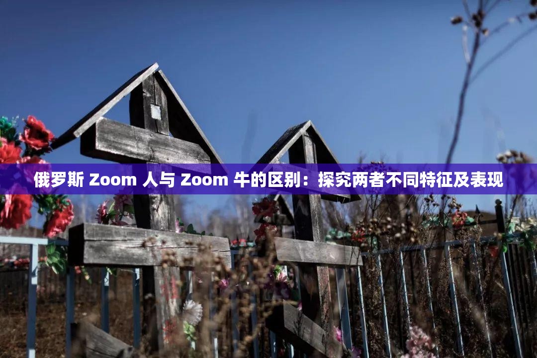 俄羅斯 Zoom 人與 Zoom 牛的區(qū)別：探究?jī)烧卟煌卣骷氨憩F(xiàn)