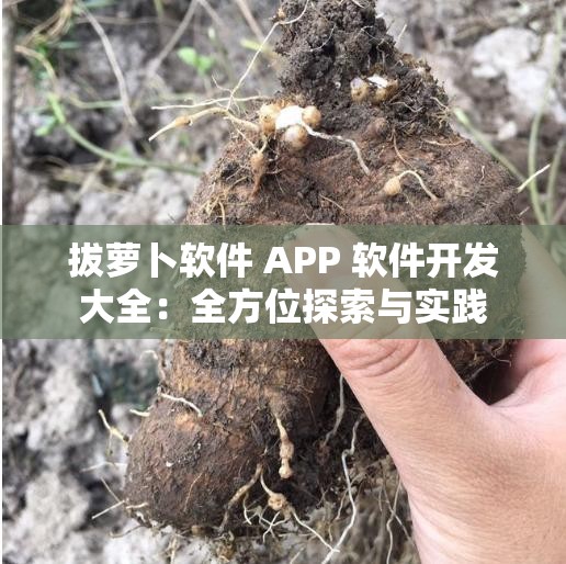 拔蘿卜軟件 APP 軟件開發(fā)大全：全方位探索與實踐