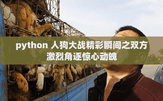 python 人狗大戰(zhàn)精彩瞬間之雙方激烈角逐驚心動魄