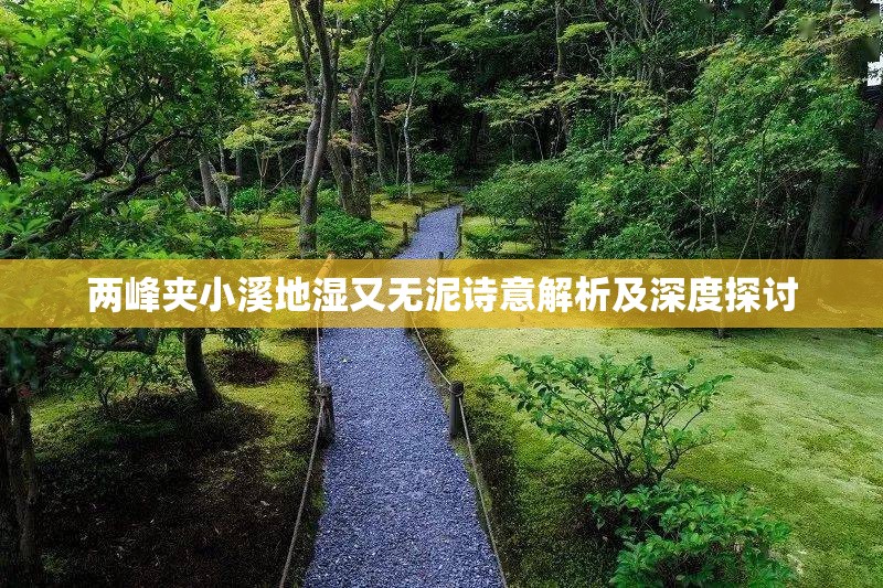 兩峰夾小溪地濕又無(wú)泥詩(shī)意解析及深度探討