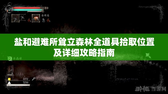 鹽和避難所聳立森林全道具拾取位置及詳細攻略指南