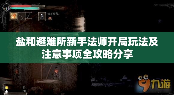 鹽和避難所新手法師開局玩法及注意事項全攻略分享