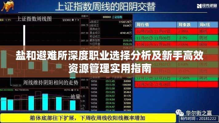 鹽和避難所深度職業(yè)選擇分析及新手高效資源管理實用指南