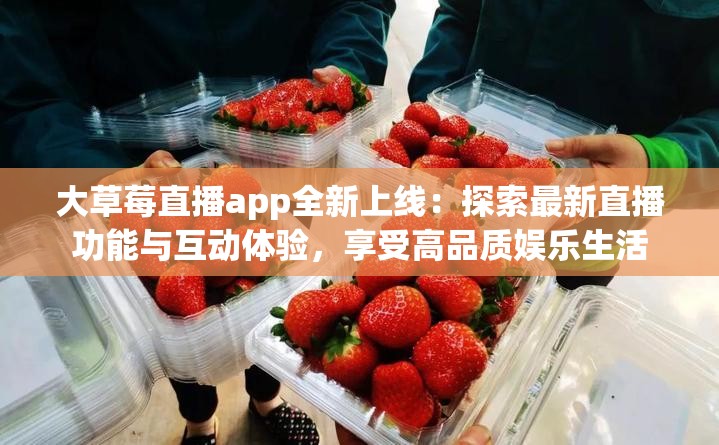 大草莓直播app全新上線：探索最新直播功能與互動體驗，享受高品質(zhì)娛樂生活