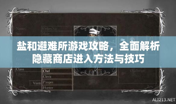 鹽和避難所游戲攻略，全面解析隱藏商店進(jìn)入方法與技巧