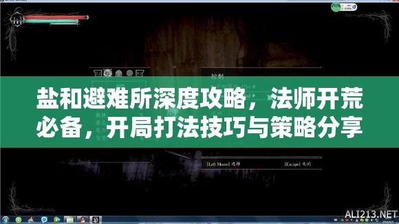 鹽和避難所深度攻略，法師開荒必備，開局打法技巧與策略分享