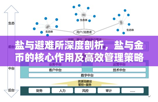 鹽與避難所深度剖析，鹽與金幣的核心作用及高效管理策略