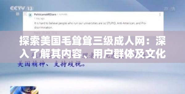 探索美國毛聳聳三級成人網(wǎng)：深入了解其內(nèi)容、用戶群體及文化影響