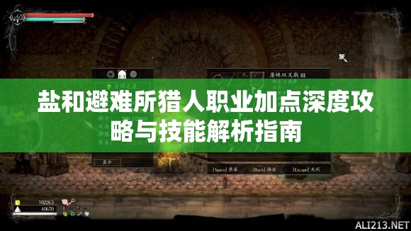 鹽和避難所獵人職業(yè)加點深度攻略與技能解析指南